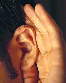 海外ニュース画像