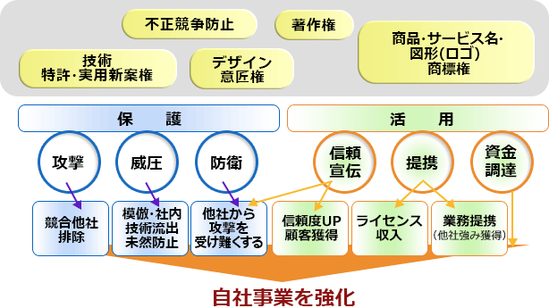 「権利の保護」と「権利の活用」