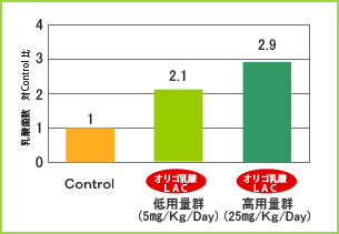 乳酸菌増殖効果