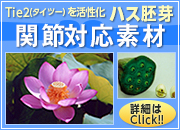連載コンテンツ Tie2(タイツー)