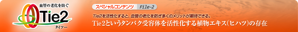 Tie2(タイツー)というタンパク受容体を活性化する植物エキス(ヒハツ)の存在