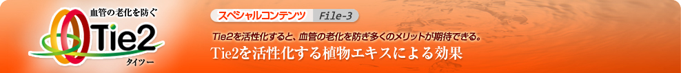 Tie2(タイツー)を活性化する植物エキスによる効果