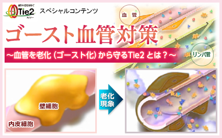 健康美容expo 健康食品 美容の商材 原料 製造探しに