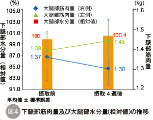 下腿部筋肉量及び下腿部水分量の推移