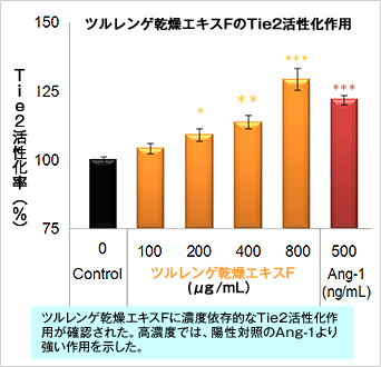 ツルレンゲ乾燥エキスFのTie2活性化作用