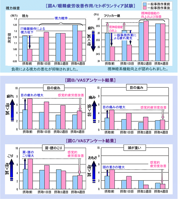 眼精疲労改善作用/ヒトボランティア試験図