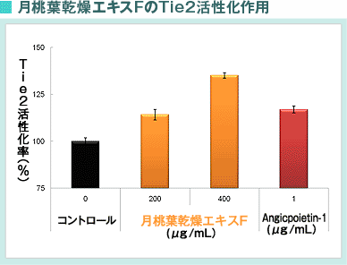 月桃葉乾燥エキスFのTie2活性化作用