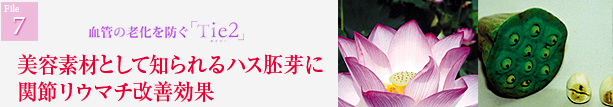 Tie2(タイツー) ハス胚芽 関節リウマチ改善