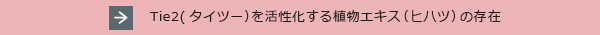Tie2(タイツー）を活性化する植物エキス（ヒハツ）の存在