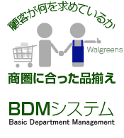 ＢＤＭシステム　イメージ