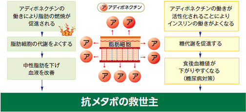 エラグ酸