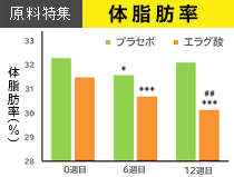 健康美容EXPO特集記事