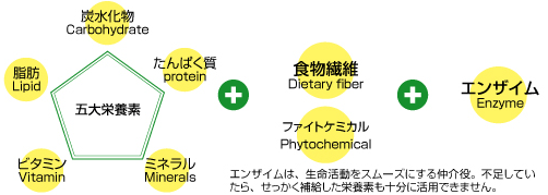 五大栄養素