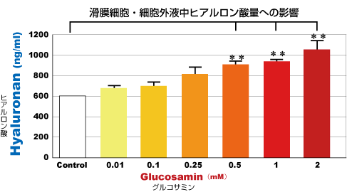 滑膜細胞・細胞外液中ヒアルロン酸量への影響