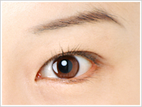 黄班変性症は日本人の失明原因として近年急増中の眼の疾患