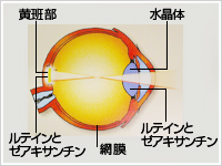 ルテインとゼアキサンチン