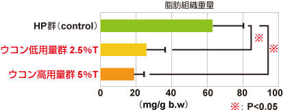 ウコンの脂質代謝亢進作用