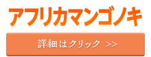 機能性表示対応素材　アフリカマンゴノキの詳細はこちら！