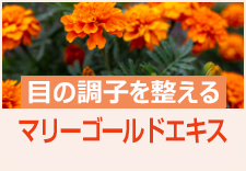 マリーゴールドエキス（アイケア素材）