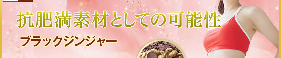 抗肥満素材 ブラックジンジャー(Black Ginger