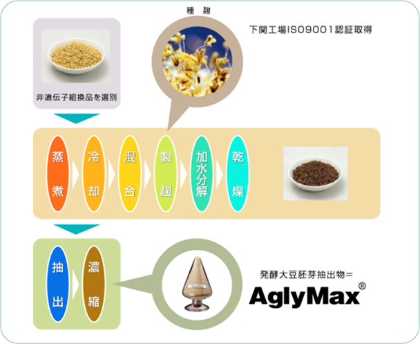 非遺伝子組換え大豆胚芽から麹菌発酵を経てAglyMaxが製造される工程図