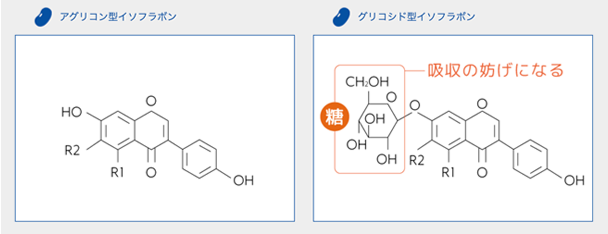 アグリコン型イソフラボンとグリコシド型イソフラボンの構造比較