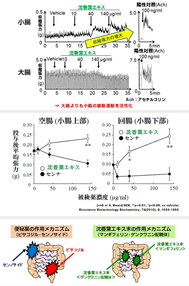 便秘薬とは異なり、下痢を伴うことなく穏やかに便通を改善するメカニズム