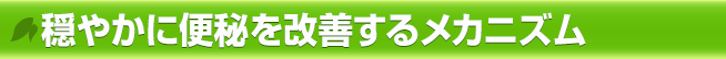 穏やかに便秘を改善（便通改善）するメカニズム