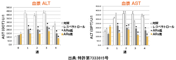実験の様子