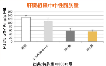 実験の様子