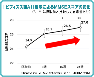 「ビフィズス菌A1」摂取によるMMSEスコアの変化