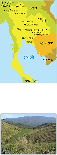 タイ政府厚生省によってプロダクトチャンピオンに選ばれている