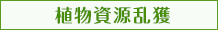 植物資源乱獲