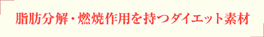 ブラックジンジャー（blackginger）は脂肪分解・燃焼作用を持つダイエット素材