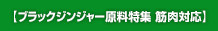 筋肉対応素材 ラックジンジャー(blackginger)原料特集