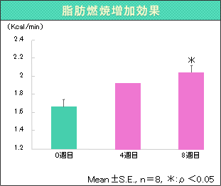 脂肪燃焼増加効果