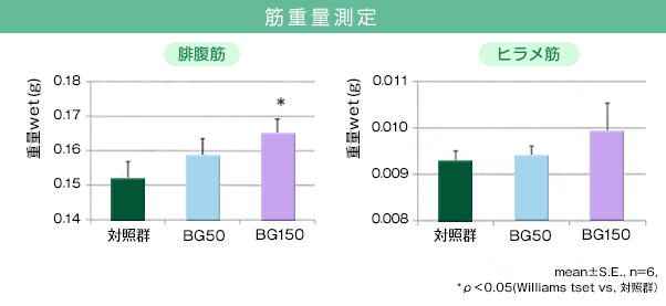 マウスの筋肉量設定