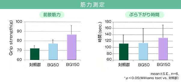 筋肉測定