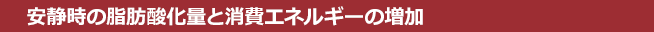 安静時の脂肪酸化量と消費エネルギーの増加