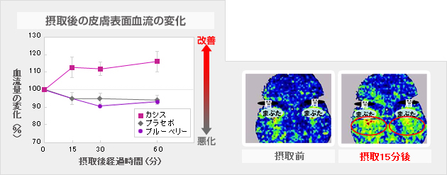 摂取後の皮膚表面血流の変化