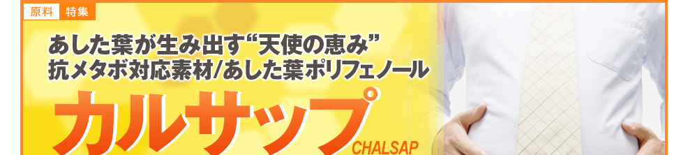 原料特集／あした葉が生み出す“天使の恵み”  抗メタボ対応素材　あした葉ポリフェノール　カルサップ　CHALSAP
