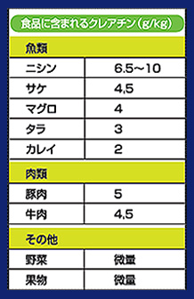 食品に含まれるクレアチン　魚類　肉類　その他のデータ