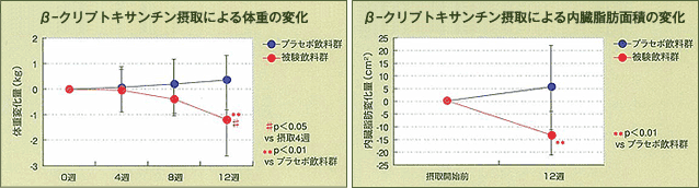 β-クリプトキサンチン摂取による体重の変化と内臓脂肪面積の変化　試験データ