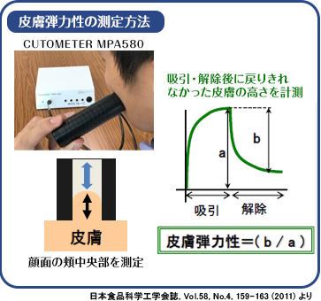 肌弾力性の測定方法