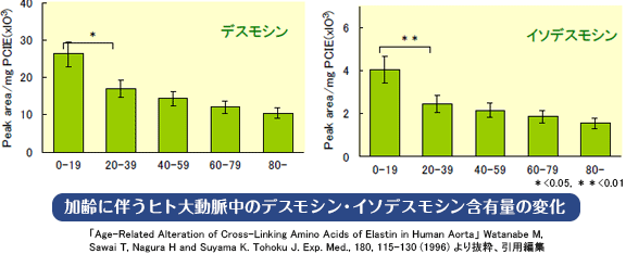 加齢に伴うヒト大動脈中のデスモシン・イソデスモシン含有量の変化