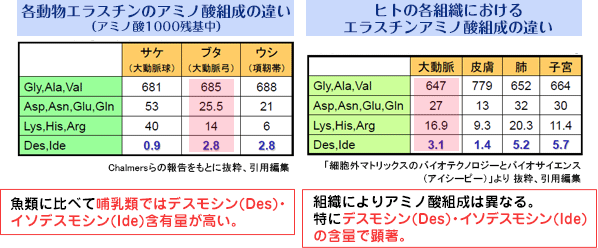 哺乳類由来ではこの「デスモシン」「イソデスモシン」の含有量が高い