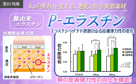 健康美容EXPO特集