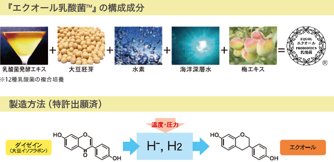 『エクオール乳酸菌™』の構成成分