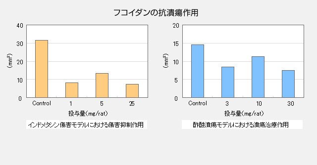 フコイダンの抗潰瘍作用