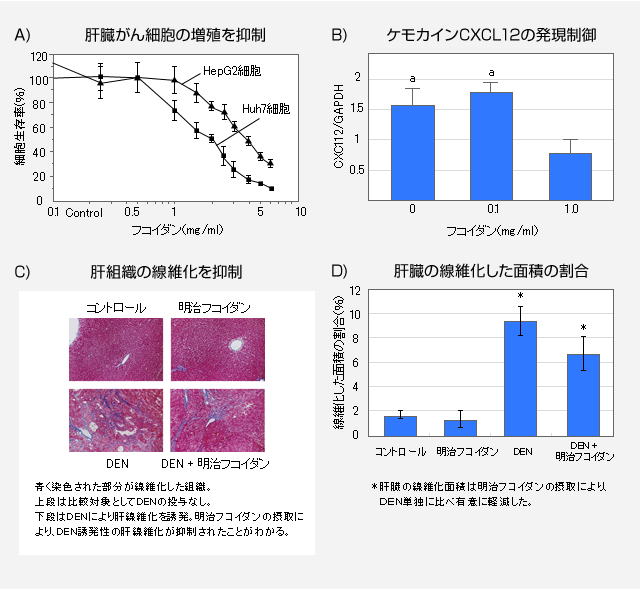 肝臓がん細胞の増殖抑制効果（図A,B）肝繊維化の抑制効果（図C,D）